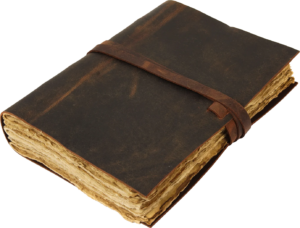 Record of Events journal